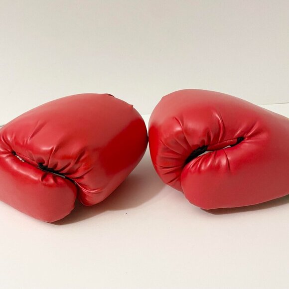 Everlast Pro Style Boxing Training Boxing Gloves 14 Oz - Picture 12 of 16